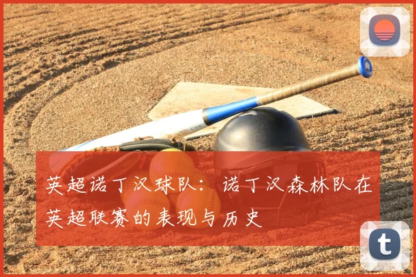 英超诺丁汉球队:诺丁汉森林队在英超联赛的表现与历史