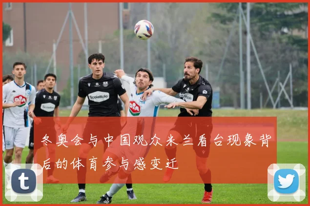 冬奥会与中国观众米兰看台现象背后的体育参与感变迁